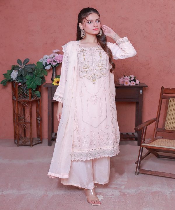 Blush Pink Heavy Embroidered Chiffon Stitched Suit